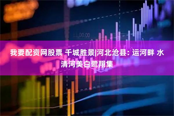 我要配资网股票 千城胜景|河北沧县: 运河畔 水清河美白鹭翔集
